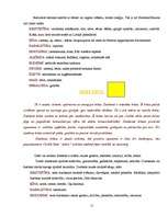 Referāts 'Krāsas simboliskā nozīme', 15.