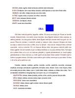 Referāts 'Krāsas simboliskā nozīme', 18.