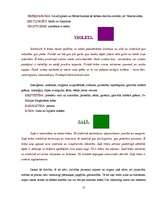 Referāts 'Krāsas simboliskā nozīme', 19.