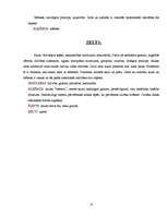 Referāts 'Krāsas simboliskā nozīme', 21.