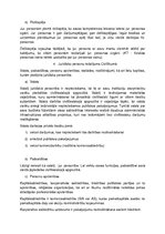 Konspekts 'Ievads civiltiesībās', 18.