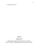 Referāts 'Jaunākie sasniegumi datortehnikā', 19.