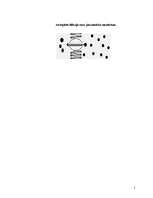 Referāts 'Vielu pasīvais un aktīvais transports. Osmoze', 9.