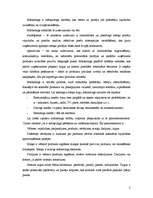 Referāts 'Reklāmas kampaņas analīze', 2.