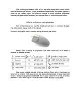 Referāts 'Datorpele', 1.