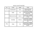 Referāts 'Datorpele', 2.