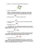 Referāts 'Datorpele', 5.