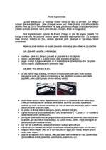 Referāts 'Datorpele', 7.