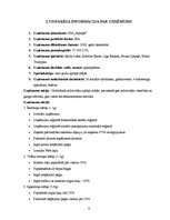 Biznesa plāns 'SIA "Aprūpe" – veco ļaužu aprūpe mājās', 4.