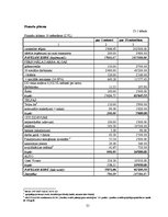 Biznesa plāns 'SIA "Aprūpe" – veco ļaužu aprūpe mājās', 21.