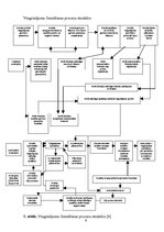 Konspekts 'Jauniešu muskuļu sasprindzināšanas un atslābināšanas procesu raksturs', 9.