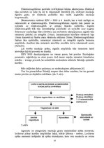 Konspekts 'Jauniešu muskuļu sasprindzināšanas un atslābināšanas procesu raksturs', 14.