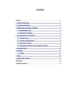 Referāts 'Marginālisma raksturojums', 2.