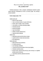 Paraugs 'Kultūras iestādes stratēģija', 2.