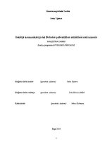 Diplomdarbs 'Iekšējā komunikācija kā Dobeles pašvaldības attīstības instruments', 1.