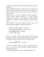 Eseja 'Vēlētāju uzvedības analīze', 2.