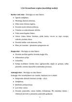 Referāts 'Zināšanas par onkoloģiskajām saslimšanām jauniešu un pieaugušo vidū', 19.