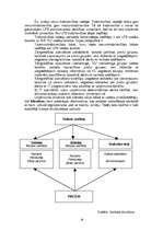 Prakses atskaite 'Uzņēmuma finanšu ekonomiskā analīze', 18.