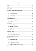 Biznesa plāns 'Biznesa ideja un koncepcija uzņēmumā', 2.