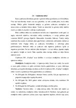 Biznesa plāns 'Biznesa ideja un koncepcija uzņēmumā', 7.