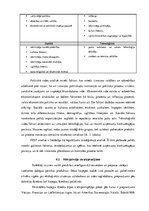 Biznesa plāns 'Biznesa ideja un koncepcija uzņēmumā', 13.