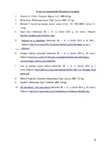 Biznesa plāns 'Biznesa ideja un koncepcija uzņēmumā', 28.