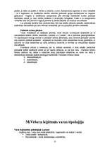 Referāts 'Galvenās iezīmes politoloģijā', 13.