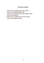 Referāts 'Makslīgā inetelekta pamati', 19.