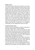 Eseja 'Konflikta situācijas analīze', 1.