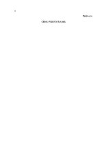 Konspekts 'Pārvaldes dokumentu paraugi', 28.