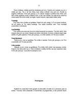 Referāts 'Darbs grupās', 12.