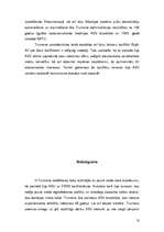 Referāts 'ASV prezidenta Harija Trumena politiskā darbība', 10.