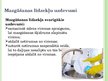 Prezentācija 'Trauku mazgāšanas līdzekļi', 6.