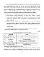 Referāts 'Riska kapitāla investīciju piesaistes nosacījumi Latvijas jaunuzņēmumos', 8.