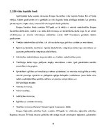 Referāts 'Riska kapitāla investīciju piesaistes nosacījumi Latvijas jaunuzņēmumos', 14.