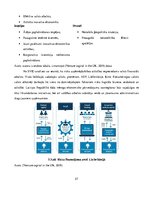 Referāts 'Riska kapitāla investīciju piesaistes nosacījumi Latvijas jaunuzņēmumos', 27.