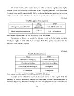 Referāts 'Riska kapitāla investīciju piesaistes nosacījumi Latvijas jaunuzņēmumos', 32.