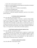 Referāts 'Riska kapitāla investīciju piesaistes nosacījumi Latvijas jaunuzņēmumos', 45.