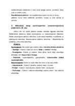 Eseja 'Eseja par jēdzieniem', 2.