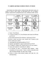 Eseja 'Eseja par jēdzieniem', 3.