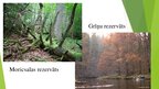 Prezentācija 'Dabas aizsardzība', 7.