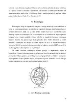 Referāts 'Kuģu tehniskie līdzekļi', 17.