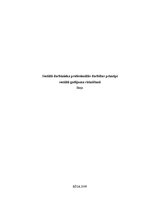 Eseja 'Sociālā darbinieka profesionālās darbības principi sociālā gadījuma risināšanā', 1.