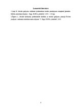 Eseja 'Sociālā darbinieka profesionālās darbības principi sociālā gadījuma risināšanā', 6.