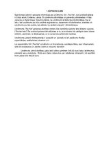 Biznesa plāns 'Biznesa plāns SIA"The Hat"', 3.