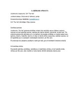 Biznesa plāns 'Biznesa plāns SIA"The Hat"', 4.