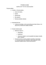 Biznesa plāns 'Biznesa plāns SIA"The Hat"', 5.