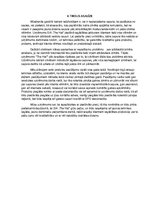 Biznesa plāns 'Biznesa plāns SIA"The Hat"', 6.