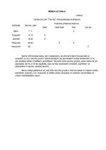 Biznesa plāns 'Biznesa plāns SIA"The Hat"', 7.