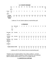 Biznesa plāns 'Biznesa plāns SIA"The Hat"', 10.